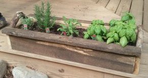 Rustic Herb Planter