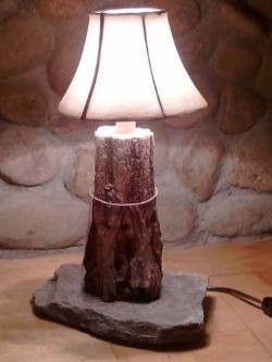 Locust Bark Lamp